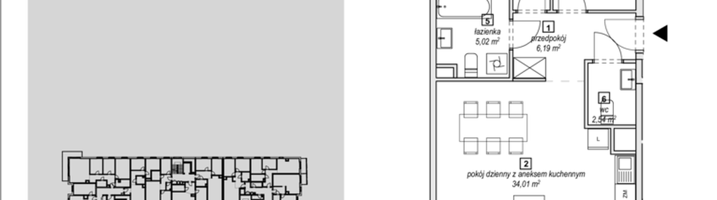 Mieszkanie w inwestycji: Naramowice Odnova