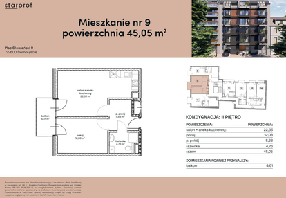 Mieszkanie w inwestycji: Plac Słowiański 9