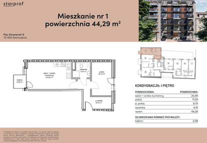 Mieszkanie w inwestycji: Plac Słowiański 9
