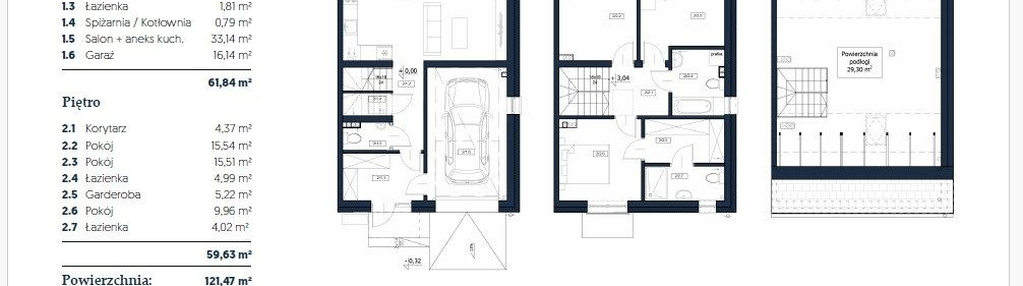 Dom w inwestycji: Iwa Park