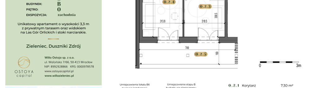 Mieszkanie w inwestycji: Willa Zieleniec