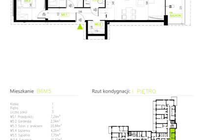 Mieszkanie w inwestycji: Osiedle Natura Park etap II