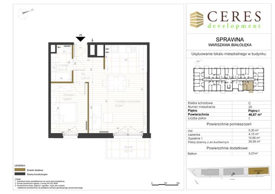 C25