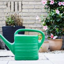 Jak podlewać ogród w czasie suszy?