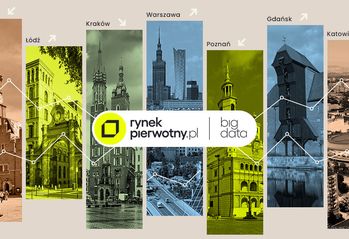 Raport cenowy grudzień 2024