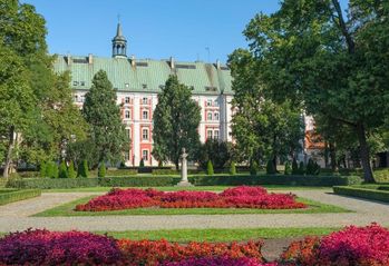 Zieleń w Poznaniu i nowe mieszkania - przewodnik 2025