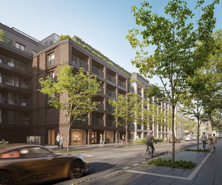 Niedziałkowskiego Park