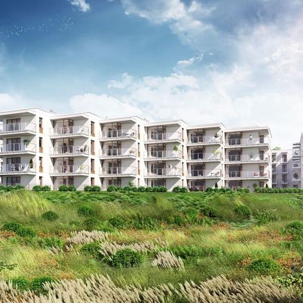 Narcyzowe Wzgórza II