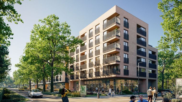Apartamenty Dębowa
