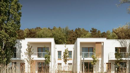 Pino Resort