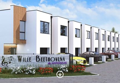 Wille Beethovena