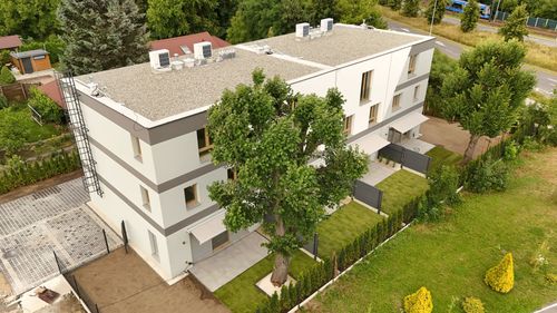 Nadzieja 31
