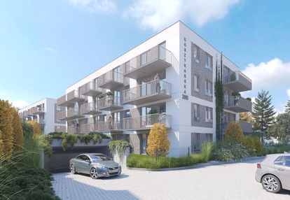 Kameralna Koszykarska