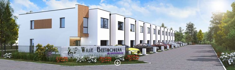 Wille Beethovena