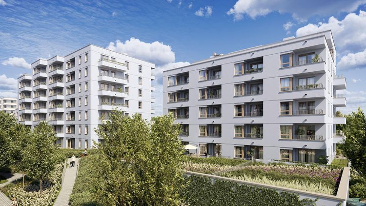 Warszawski Świt etap XII