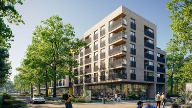 Apartamenty Dębowa
