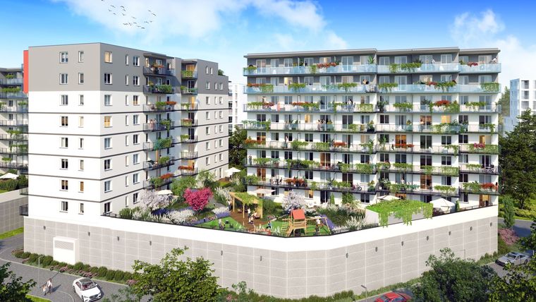 Comfort City Koral