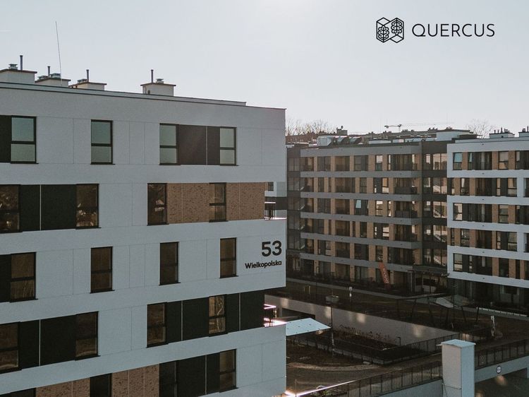 Quercus