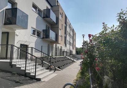 Redycka
