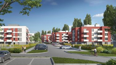 Zielone Zamienie IX