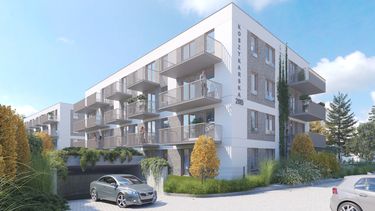 Kameralna Koszykarska