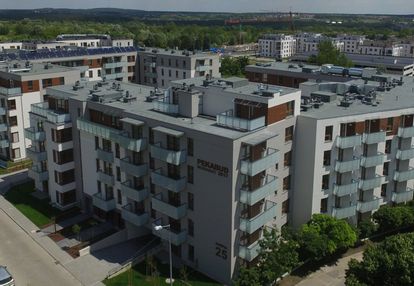 Karpia 25