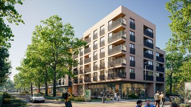 Apartamenty Dębowa