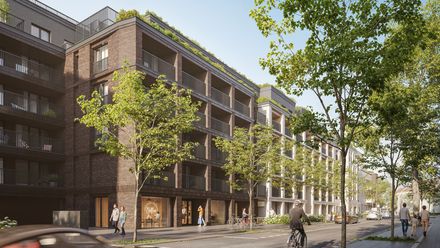 Niedziałkowskiego Park