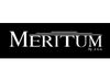 Meritum Sp. z o.o. logo