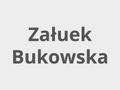 Zaułek Bukowska logo