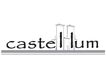 P.B.K. Castellum Sp. z o.o.