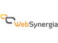 WebSynergia s.c. logo
