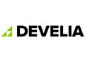 Logo dewelopera: Develia
