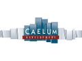 Caelum Development logo