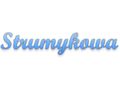 Max Invest Group Sp. z o.o. logo