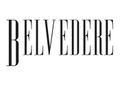 Belvedere Nieruchomości logo