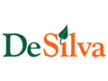 De Silva Haus S.A. logo