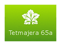Tetmajera 65a logo