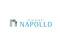 Logo dewelopera: NAPOLLO