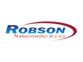 Robson Nieruchomości Sp. z o.o. logo