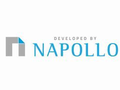 NAPOLLO logo