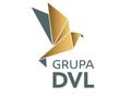 DVL GROUP logo