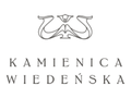 DS New Venture logo