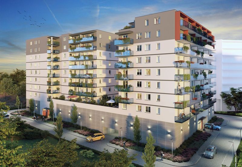 Comfort City Koral 3