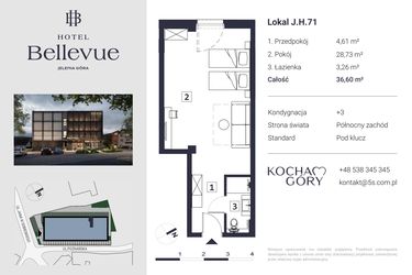 Rzut - Mieszkanie na sprzedaż 1 pokój o powierzchni 36,6 m² - numer 71 w Hotel Bellevue