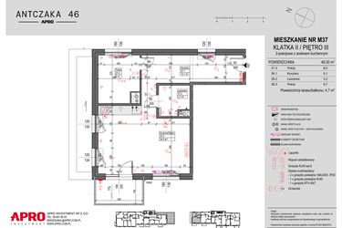 Rzut - Mieszkanie na sprzedaż 2 pokoje o powierzchni 49,3 m² - numer M37 w Antczaka 46