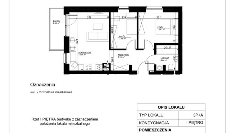 Rzut - Mieszkanie na sprzedaż 3 pokoje o powierzchni 48,05 m² - numer 11 w Esperanto Park etap II