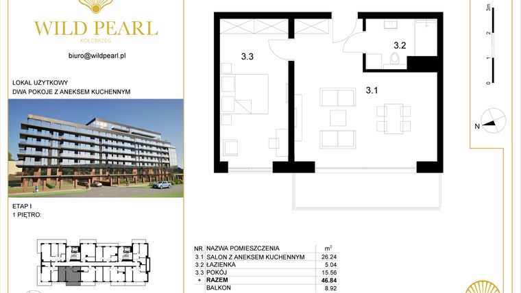 Rzut - Mieszkanie na sprzedaż 2 pokoje o powierzchni 46,84 m² - numer 1.3 w Wild Pearl - apartamenty inwestycyjne