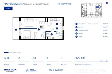 Rzut - Mieszkanie na sprzedaż 1 pokój o powierzchni 50,33 m² - numer 38A w Przy Bursztynowej