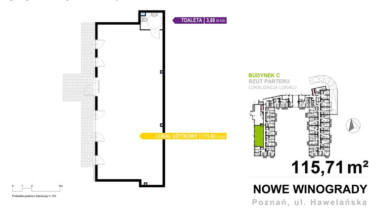 Rzut - Lokal użytkowy na sprzedaż 1 pokój o powierzchni 115,71 m² - numer C.LU.02 w Nowe Winogrady